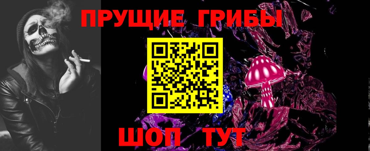 Коркино  Галлюциногенные грибы прущие грибы  Вход с VPN 